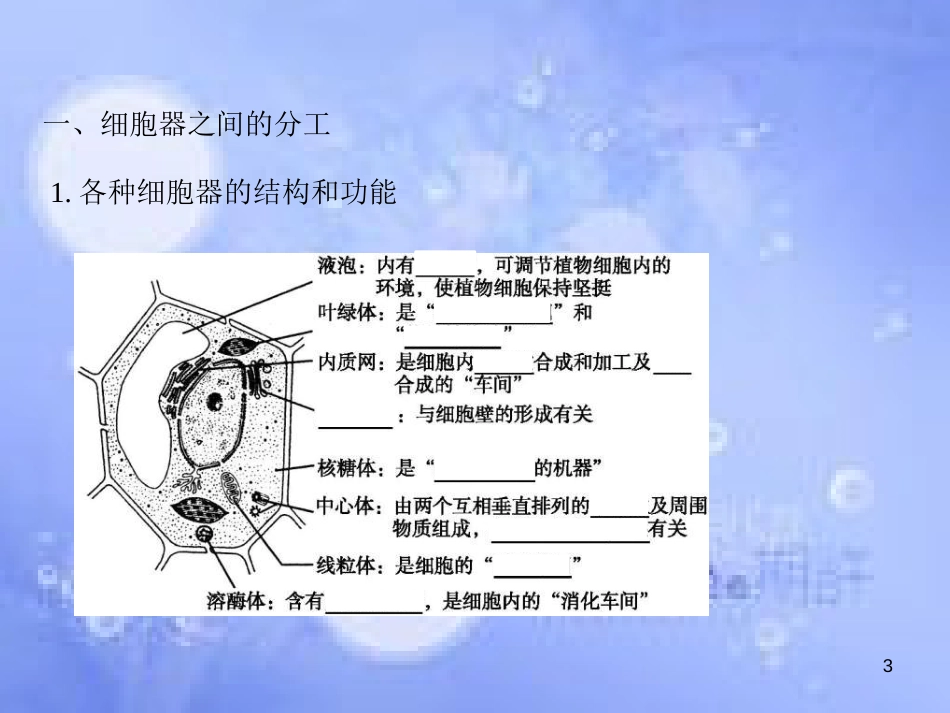 高三生物一轮复习 第三章 细胞的基本结构 3.2 细胞器——系统内的分工合作课件 新人教版必修1_第3页