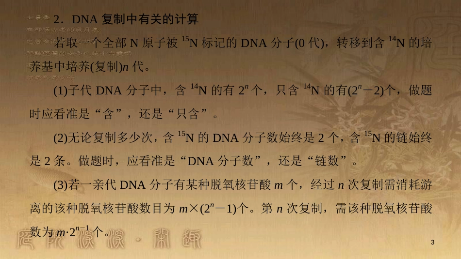 高中生物 第4章 遗传的分子基础 微专题突破 DNA和RNA中碱基的相关计算优质课件 苏教版必修2_第3页