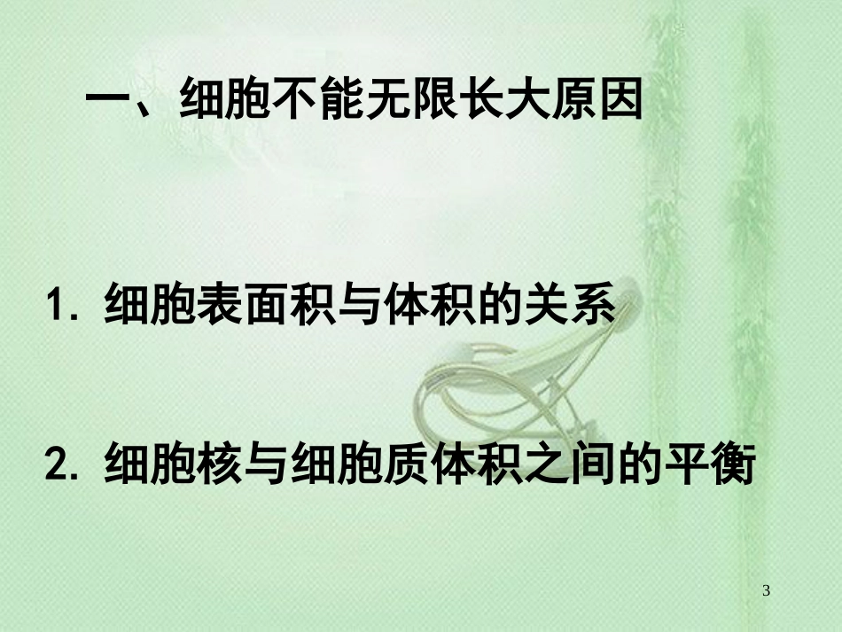 高中生物 专题6.1.1 细胞的增殖同步优质课件 新人教版必修1_第3页