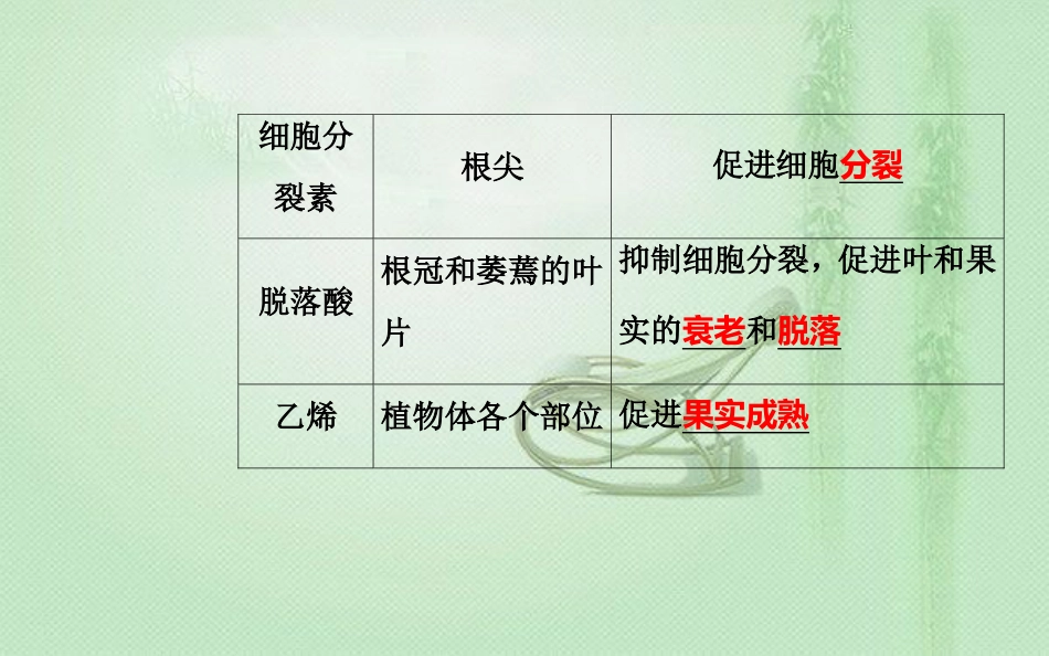 高中生物学业水平复习 专题十二 植物的激素调节 考点2 其他植物激素及应用优质课件_第2页