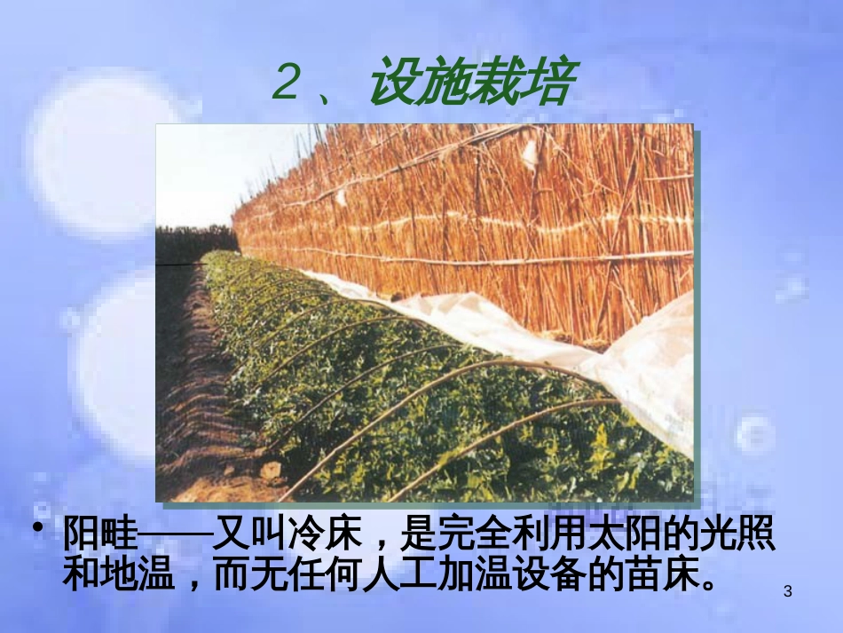 高中生物 第一单元 生物科学与农业 第一章 生物科学与动植物生产 1.5 设施农业（1）课件 中图版选修2_第3页
