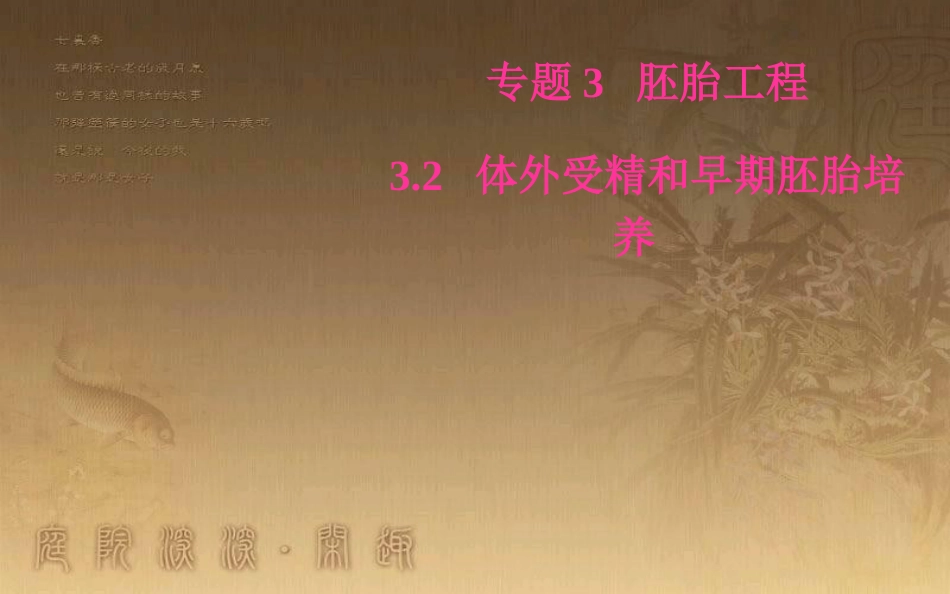 高中生物 专题3 胚胎工程 3.2 体外受精和早期胚胎培养优质课件 新人教版选修3_第1页