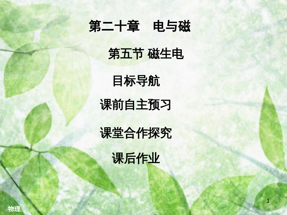 九年级物理全册 20.5 磁生电习题优质课件 （新版）新人教版_第1页