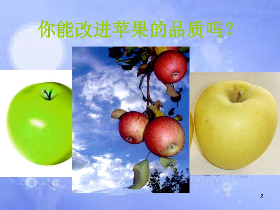 高中生物 第一章 生物科学与农业 1.3 优良品种的培育和繁殖课件 浙科版选修2_第2页