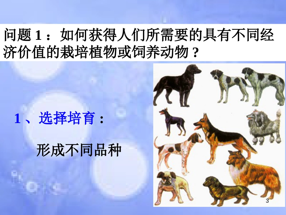 高中生物 第一章 生物科学与农业 1.3 优良品种的培育和繁殖课件 浙科版选修2_第3页