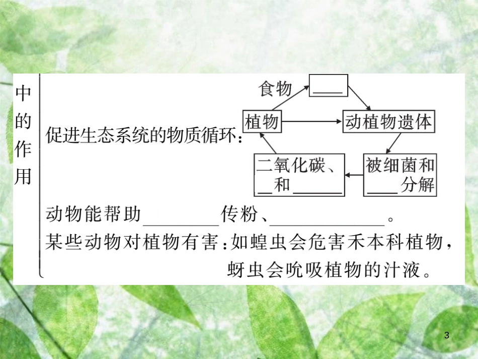 八年级生物上册 第五单元 第三章 动物在生物圈中的作用习题优质课件 （新版）新人教版_第3页