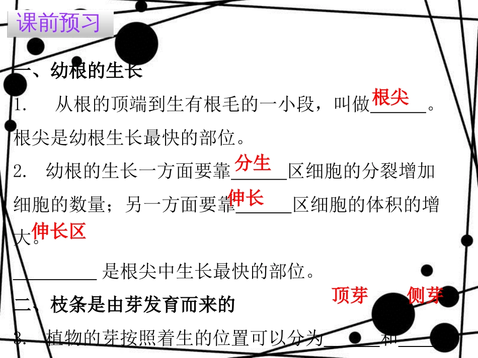 七年级生物上册 第三单元 第二章 第二节 植株的生长课件 （新版）新人教版[共17页]_第3页