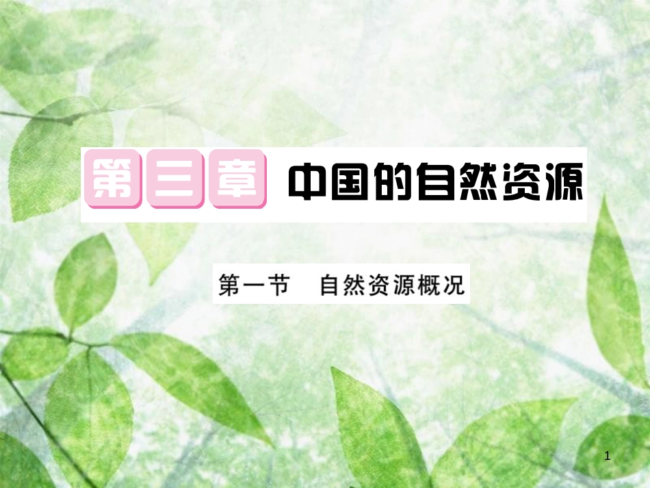 八年级地理上册 第3章 第一节 自然资源概况习题优质课件 （新版）湘教版_第1页