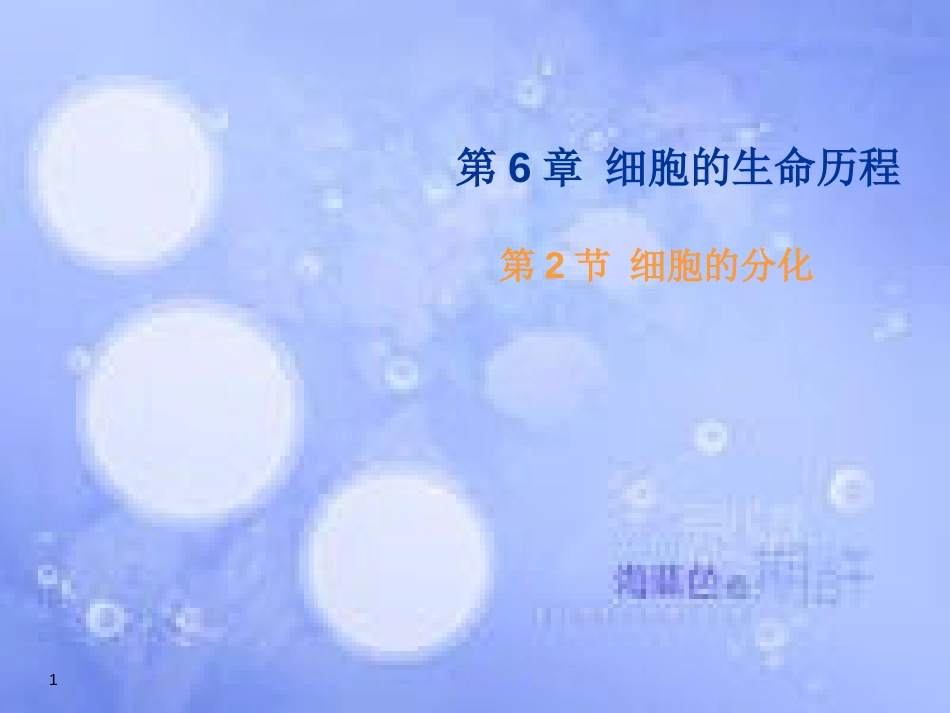 福建省寿宁县高中生物 第六章 细胞的生命历程 6.2 细胞的分化课件 新人教版必修1_第1页