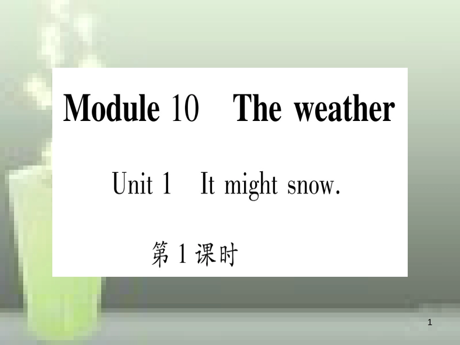 八年级英语上册 Module 10 The weather习题优质课件 （新版）外研版_第1页