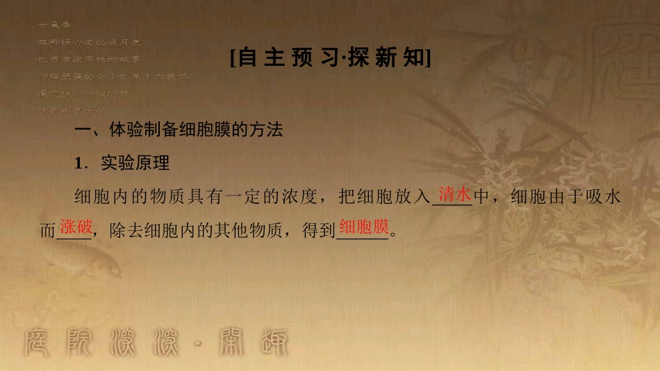 高中生物 第三章 细胞的基本结构 第1节 细胞膜——系统的边界优质课件 新人教版必修1_第3页