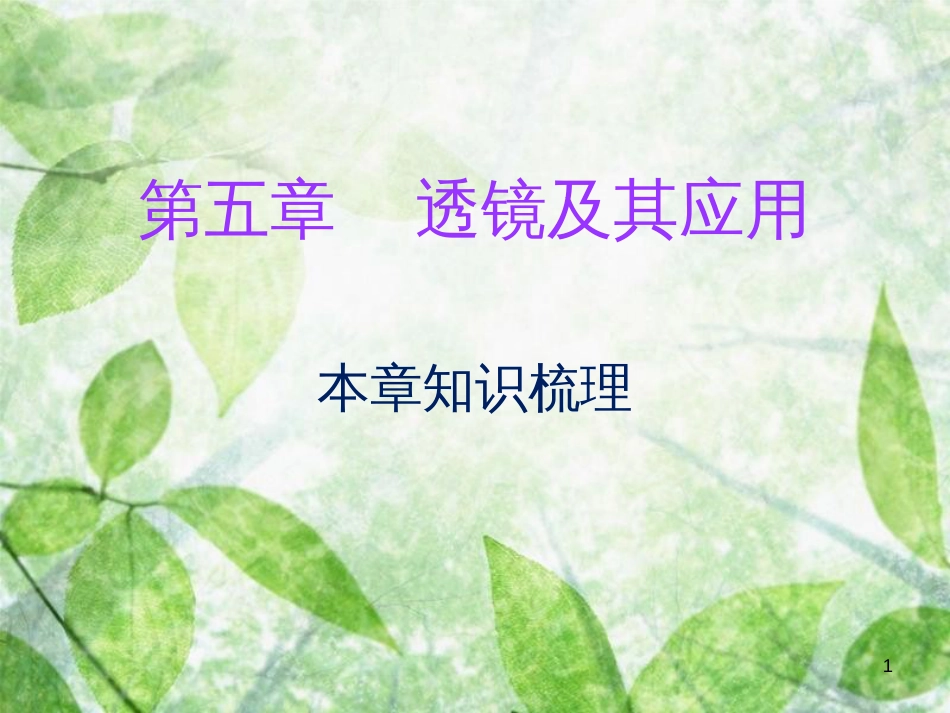八年级物理上册 期末复习 第五章 透镜及其应用本章知识梳理习题优质课件 （新版）新人教版_第1页