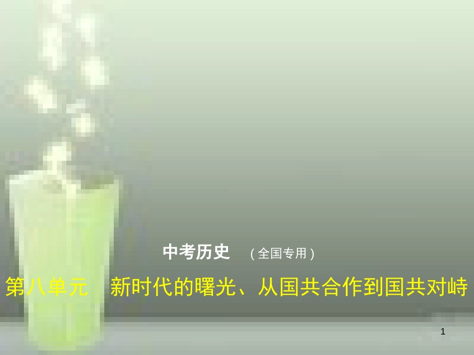 （全国版）2019中考历史总复习 第八单元 新时代的曙光、从国共合作到国共对峙（试卷部分）优质课件_第1页