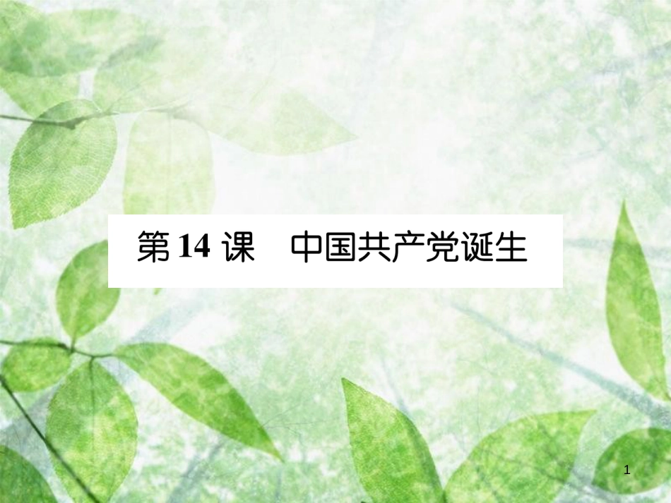 八年级历史上册 练习手册 第4单元 新民主主义革命的开始 第14课 中国共产党诞生优质课件 新人教版_第1页