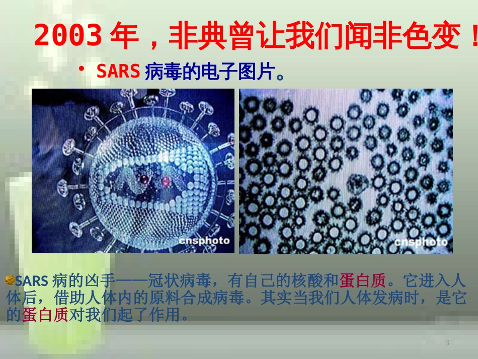 高中化学 第四章 生命中的基础有机化学物质 4.3 蛋白质和核酸优质课件 新人教版选修5_第3页