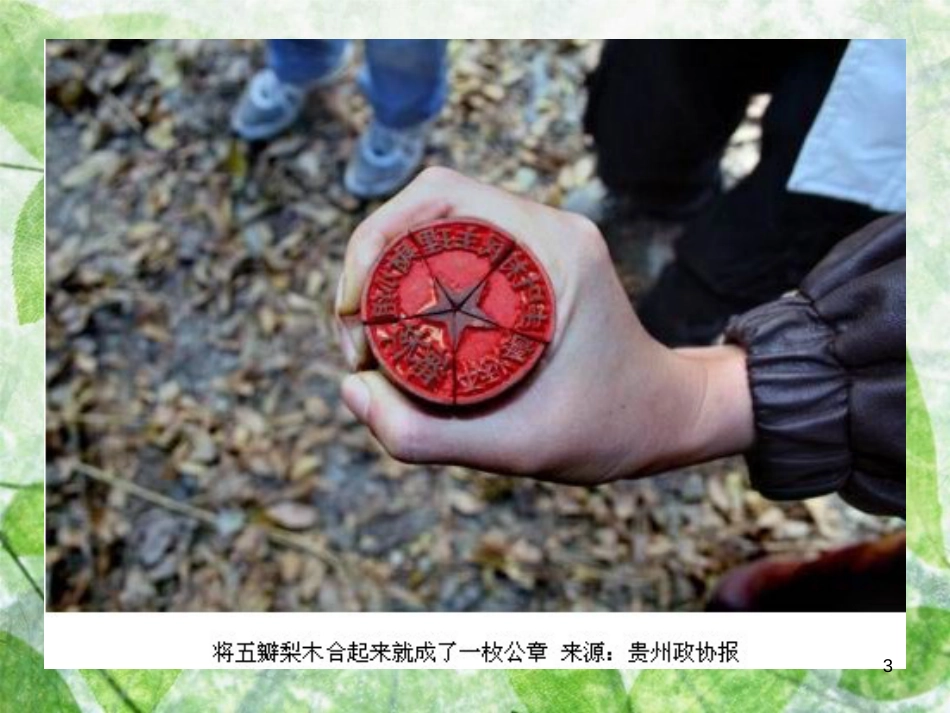 九年级道德与法治上册 第二单元 民主与法治 第三课 追求民主价值 第1框 生活在民主国家优质课件 新人教版_第3页