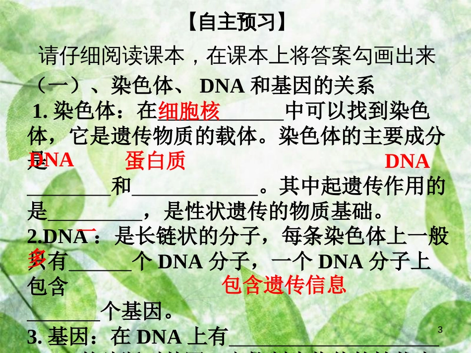 八年级生物上册 第六单元 第20章 第2节 性状遗传的物质基础优质课件 （新版）北师大版_第3页