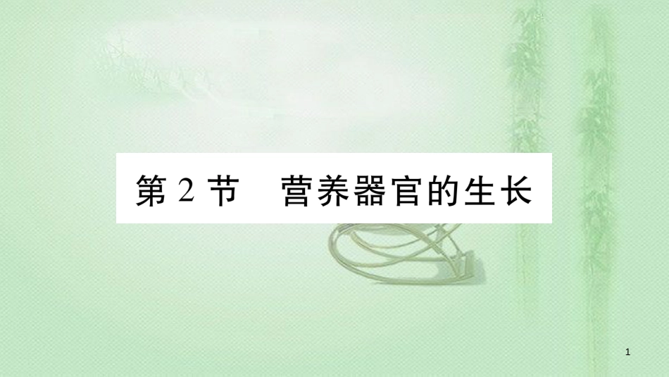 七年级生物上册 第三单元 第6章 第2节 营养器官的生长习题优质课件 （新版）北师大版 (2)_第1页