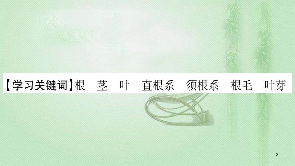 七年级生物上册 第三单元 第6章 第2节 营养器官的生长习题优质课件 （新版）北师大版 (2)_第2页