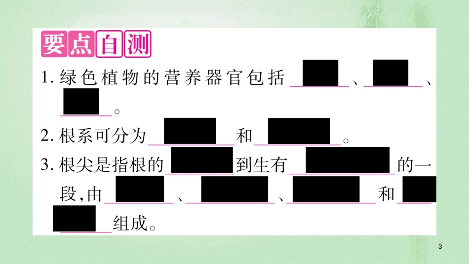 七年级生物上册 第三单元 第6章 第2节 营养器官的生长习题优质课件 （新版）北师大版 (2)_第3页