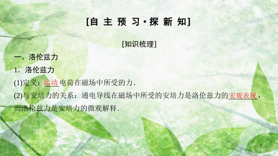 高中物理 第三章 磁场 4 磁场对运动电荷的作用——洛伦兹力优质课件 教科版选修3-1_第3页