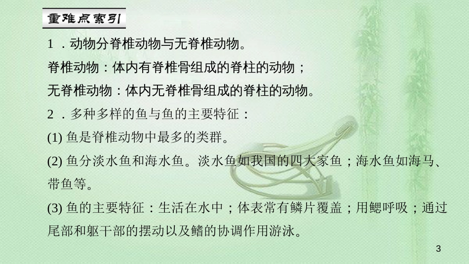 八年级生物上册 第五单元 第一章 第四节 鱼优质课件 （新版）新人教版_第3页