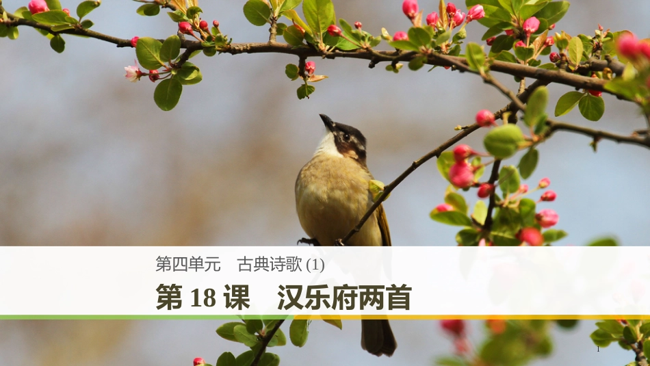 高中语文 第四单元 古典诗歌 第18课 汉乐府两首优质课件 粤教版必修1_第1页