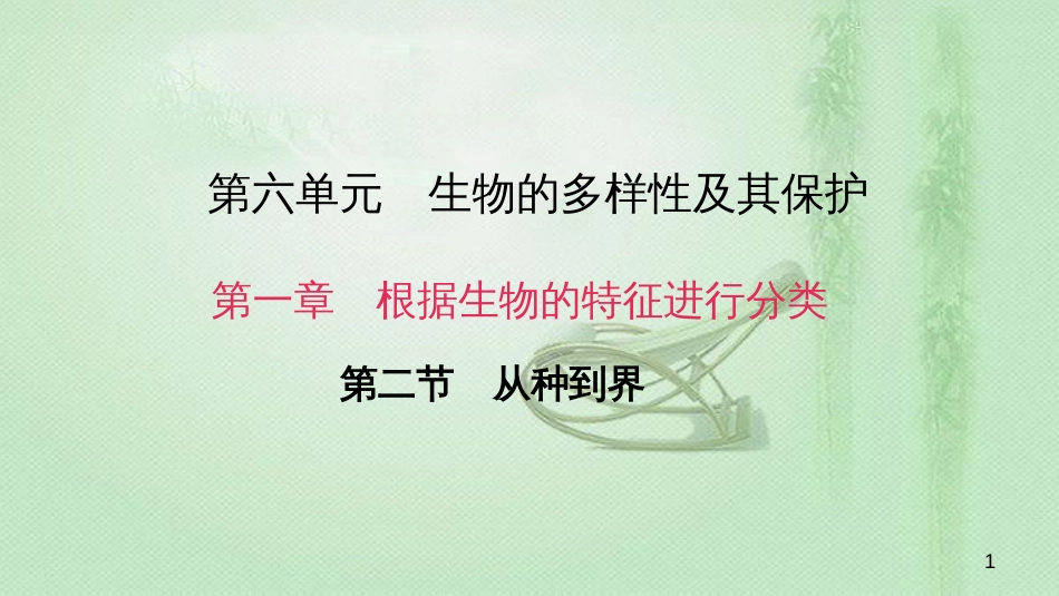 八年级生物上册 第六单元 第一章 第二节 从种到界优质课件 （新版）新人教版_第1页