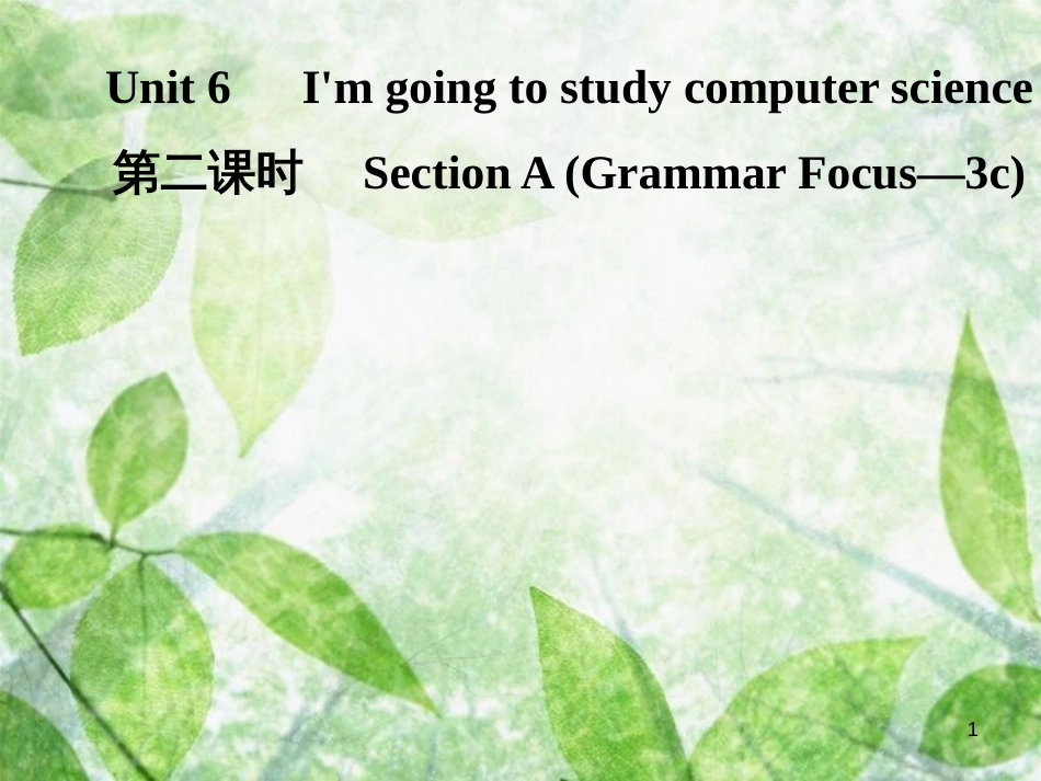 八年级英语上册 Unit 6 I’m going to study computer science（第2课时）Section A（Grammar Focus-3c）导学优质课件 （新版）人教新目标版_第1页
