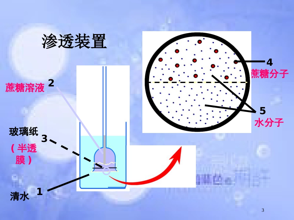 高中生物 第四章 细胞的物质输入和输出 4.1 物质跨膜运输的实例课件2 新人教版必修1_第3页