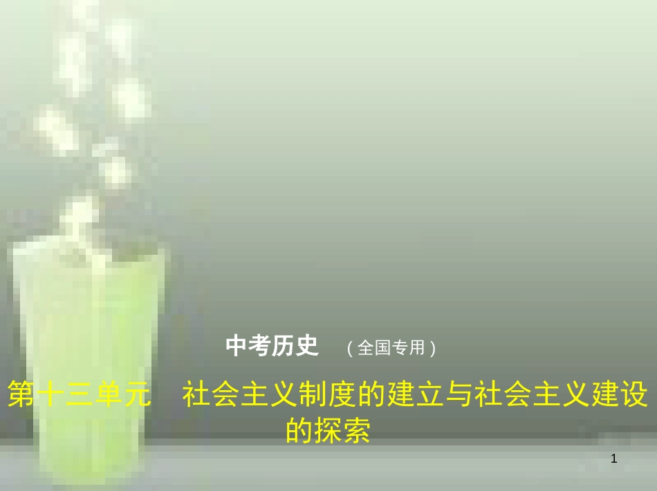 （全国版）2019中考历史总复习 第十三单元 社会主义制度的建立与社会主义建设的探索（试卷部分）优质课件_第1页