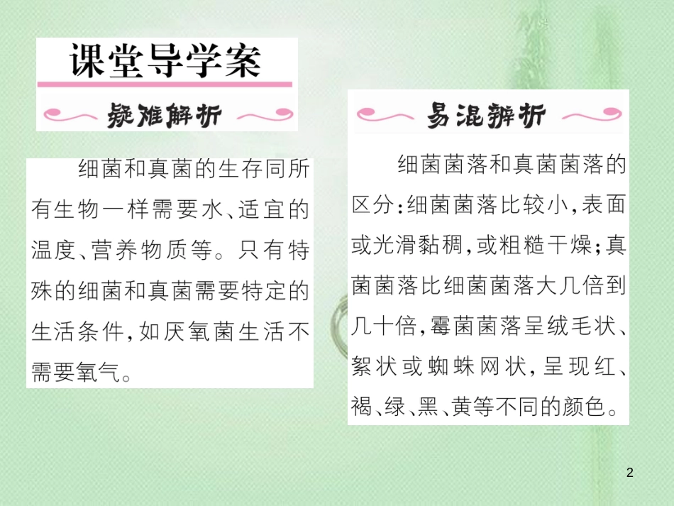 八年级生物上册 第五单元 第4章 第一节 细菌和真菌的分布优质课件 （新版）新人教版_第2页