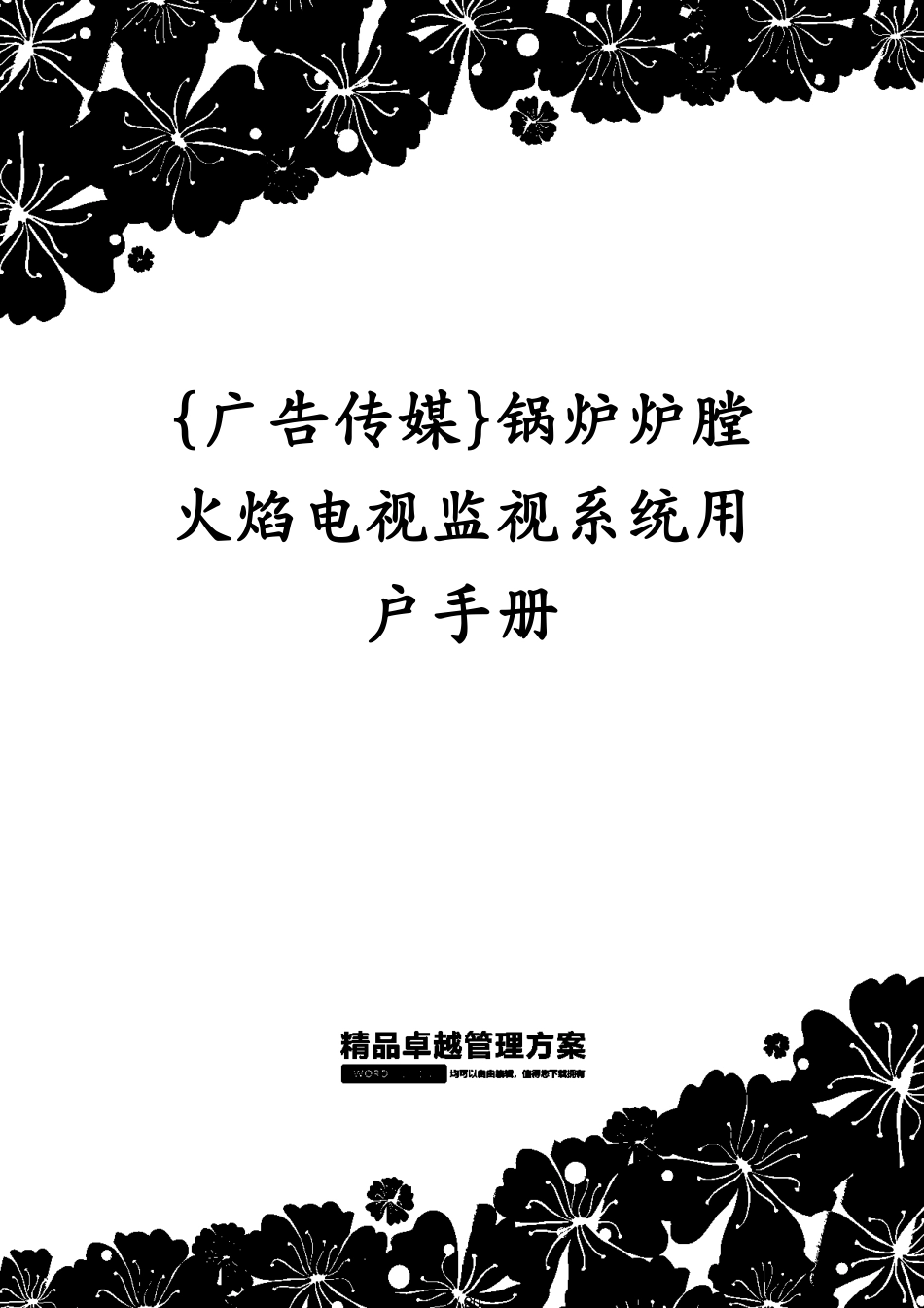 锅炉炉膛火焰电视监视系统用户手册_第1页