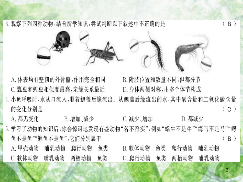 八年级生物上册 期末测评卷习题优质课件 （新版）新人教版_第3页