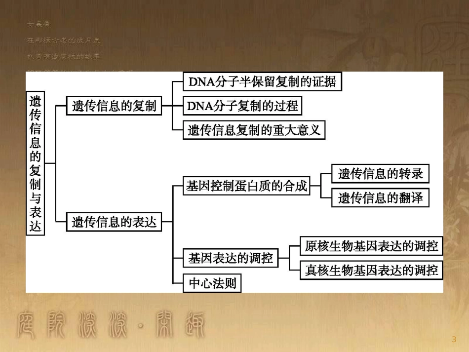 高中生物 第3章 遗传信息的复制与表达本章整合优质课件 北师大版必修2_第3页