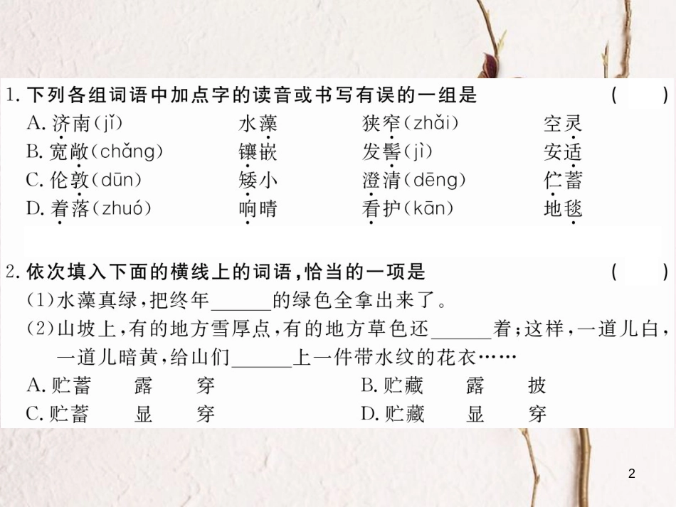 八年级语文下册 第三单元 10 济南的冬天习题课件 鄂教版[共18页][共18页]_第2页