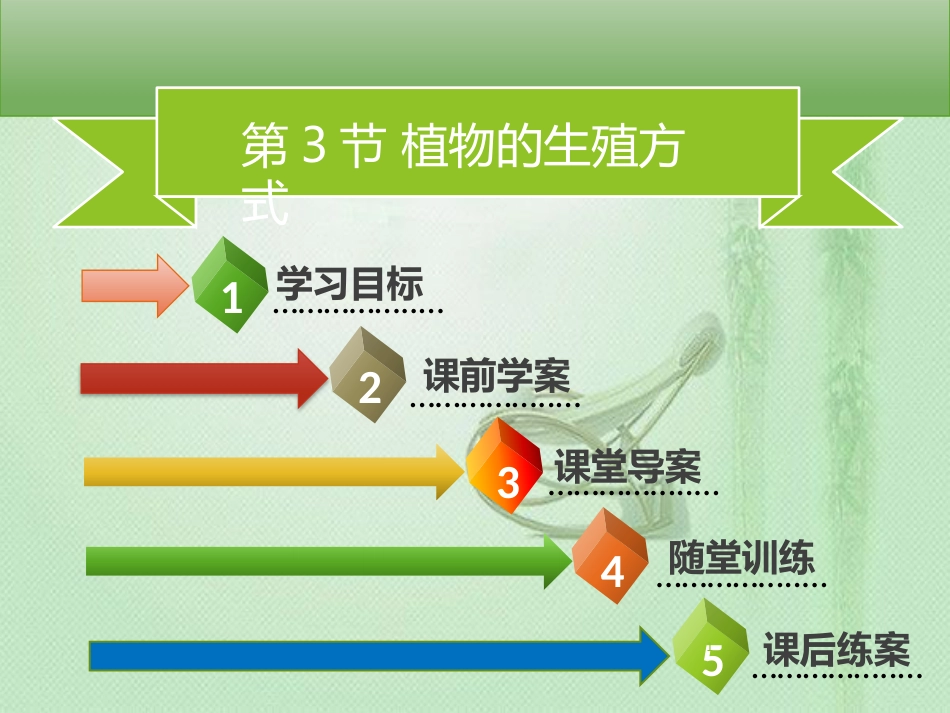 八年级生物上册 第六单元 第19章 第3节 植物的生殖方式习题优质课件 （新版）北师大版_第1页