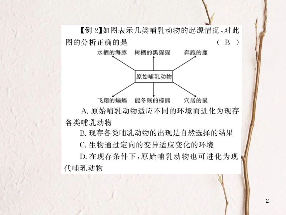 八年级生物下册 21 生命的发生和发展整理与复习课件 （新版）北师大版[共26页][共26页]_第2页