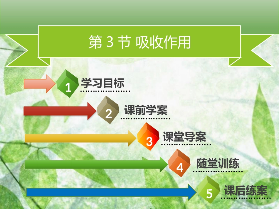 七年级生物上册 第三单元 第5章 第3节 吸收作用习题优质课件 （新版）北师大版_第2页