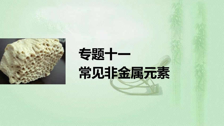 高考化学一轮复习 专题11 常见非金属元素优质课件_第1页