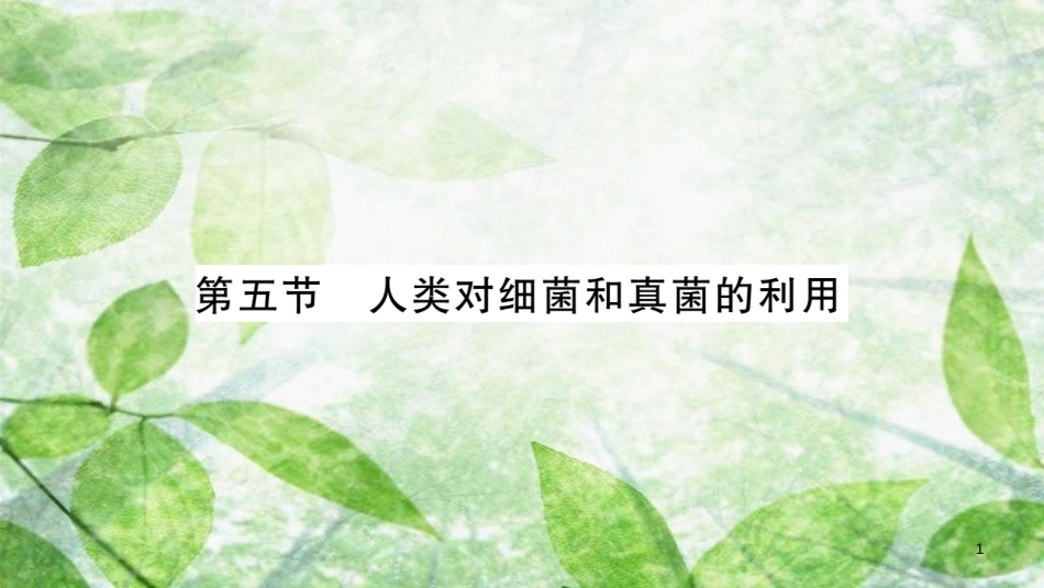 八年级生物上册 第5单元 第4章 第5节 人类对细菌和真菌的利用习题优质课件 （新版）新人教版_第1页