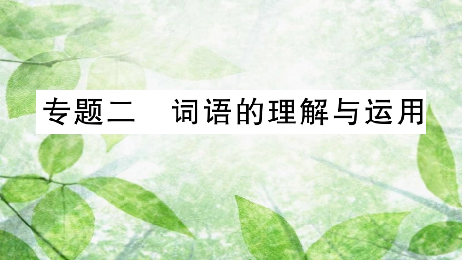 七年级语文上册 期末专题复习二 词语的理解与运用优质课件 新人教版_第1页