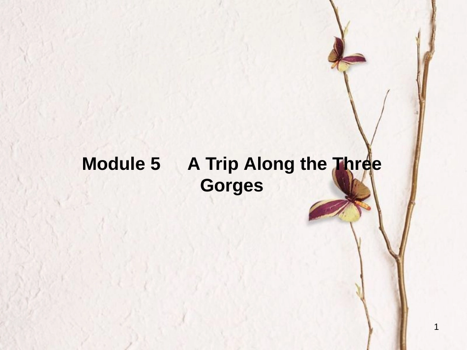 高中英语 Module 5 A Trip Along the Three Gorges Section ⅠIntroduction,Reading & Vocabulary课件 外研版必修4[共33页][共33页]_第1页