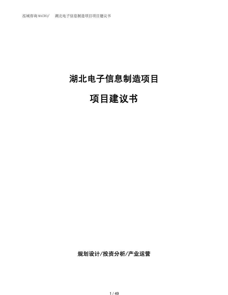 湖北电子信息制造项目项目建议书(1)_第1页