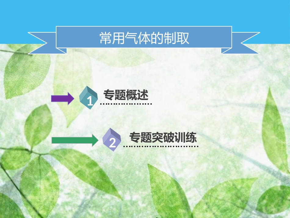 九年级化学上册 第六单元 碳和碳的氧化物 专题突破（二）常见气体的制取优质课件 （新版）新人教版_第2页