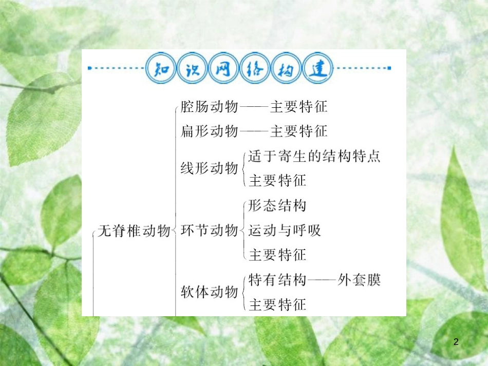 八年级生物上册 第五单元 第1章 动物的主要类群自主复习习题优质课件 （新版）新人教版_第2页