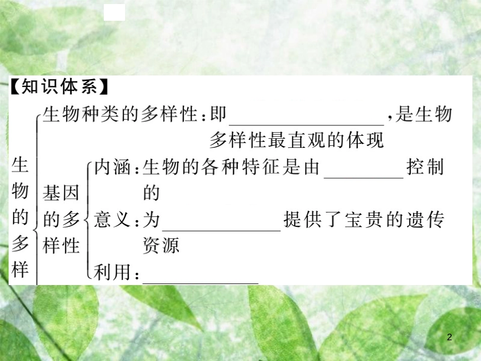 八年级生物上册 第六单元 第二章 认识生物的多样性习题优质课件 （新版）新人教版_第2页