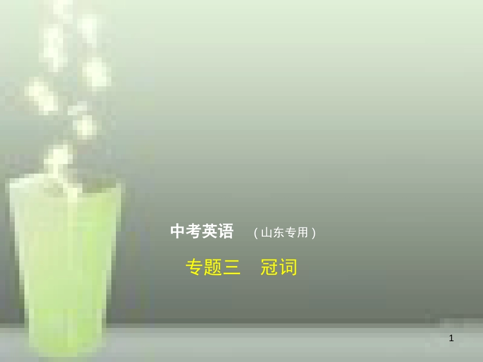 （山东专用）2019年中考英语复习 专题三 冠词（试卷部分）（含18年中考真题精解精析）优质课件_第1页