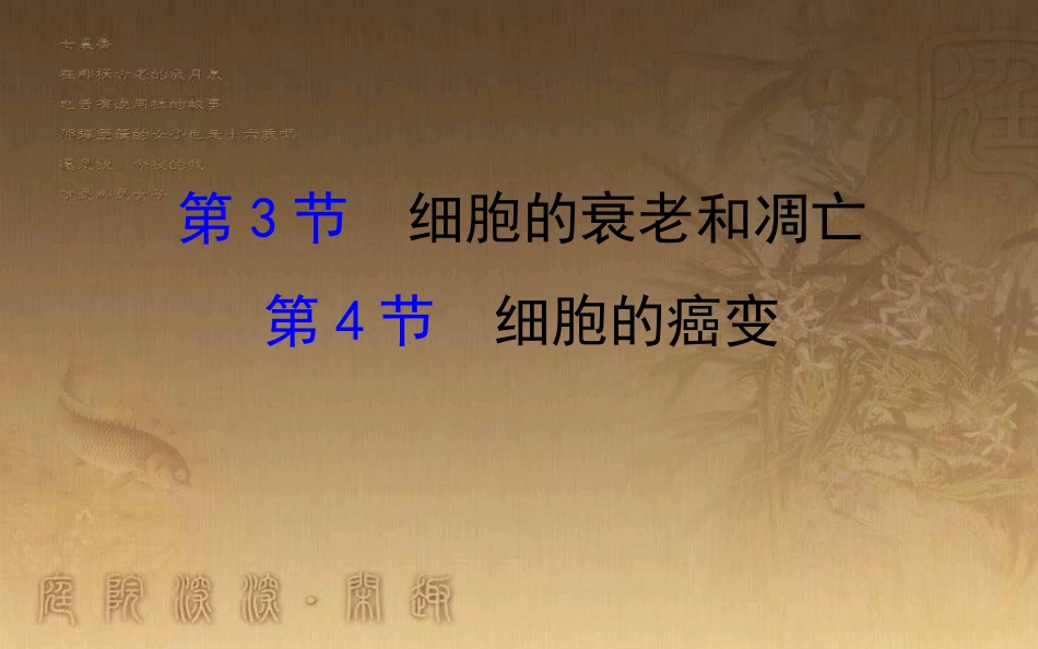 高中生物 第六章 细胞的生命历程 6.3 细胞的衰老和凋亡 6.4 细胞的癌变优质课件 新人教版必修1_第1页