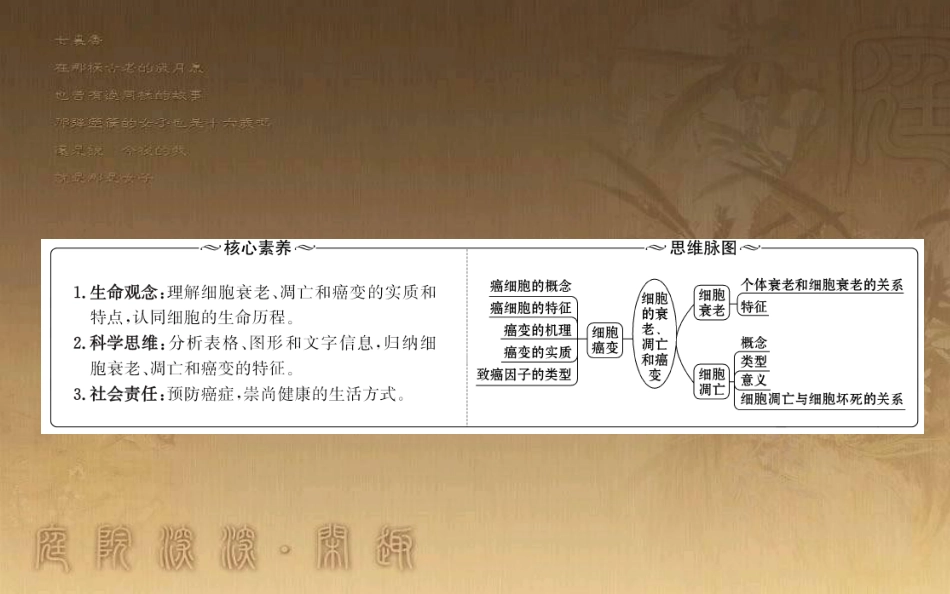 高中生物 第六章 细胞的生命历程 6.3 细胞的衰老和凋亡 6.4 细胞的癌变优质课件 新人教版必修1_第2页